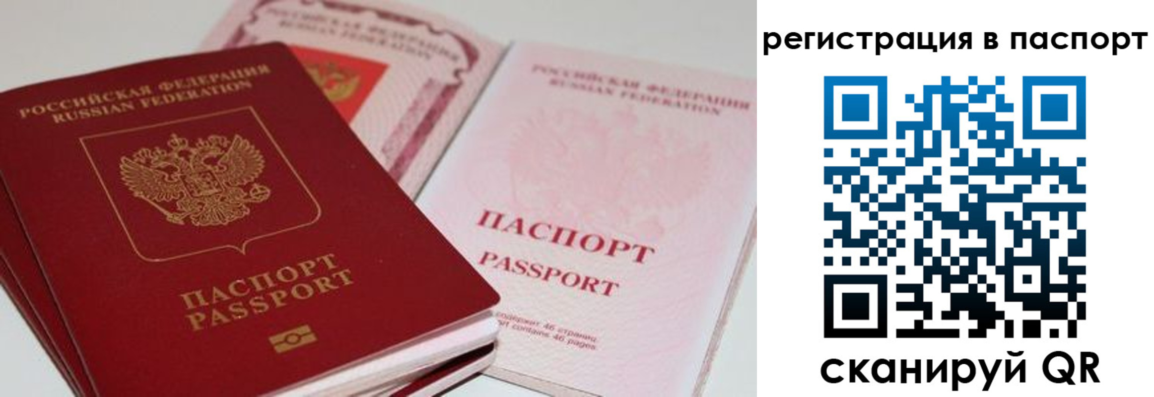 временная регистрация недорого в Балтийске